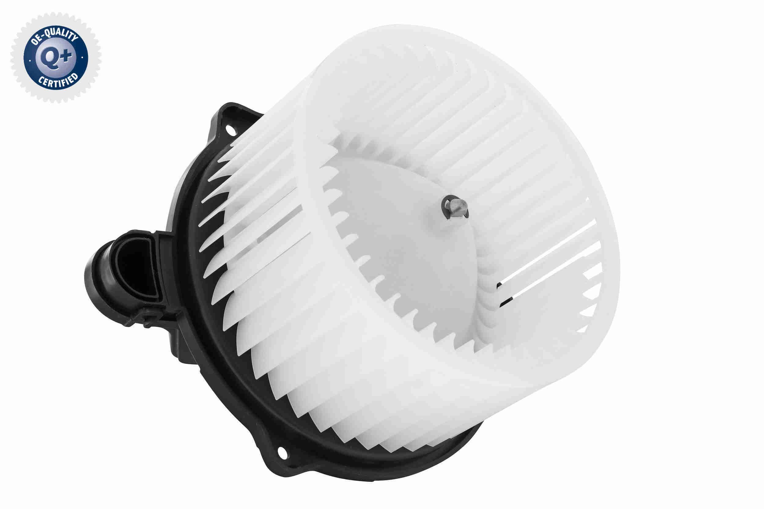 Vidaus pūtiklis ACKOJA A53-03-0005