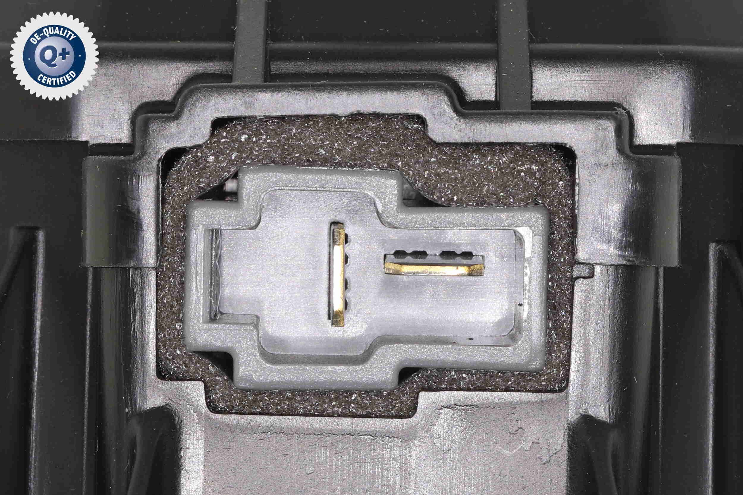 Vidaus pūtiklis ACKOJA A53-03-0005