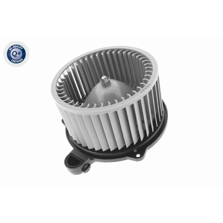 Vidaus pūtiklis ACKOJA A53-03-0006