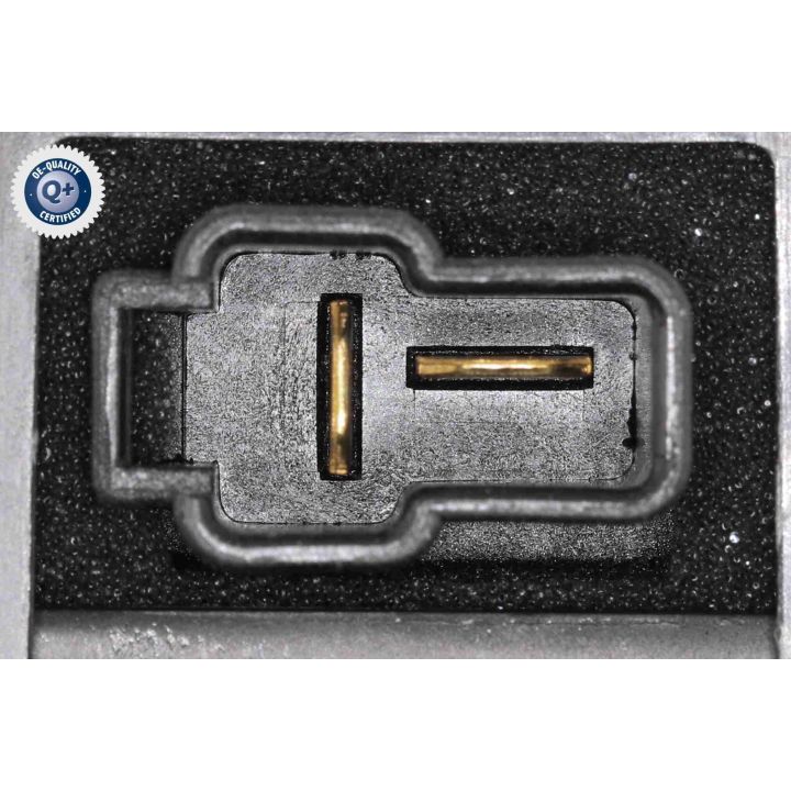 Vidaus pūtiklis ACKOJA A53-03-0006