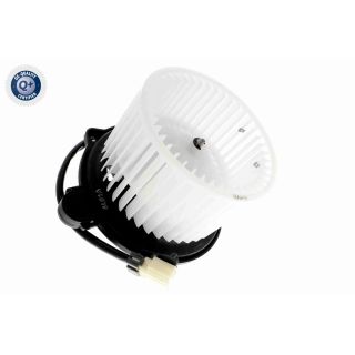 Vidaus pūtiklis ACKOJA A53-03-0007