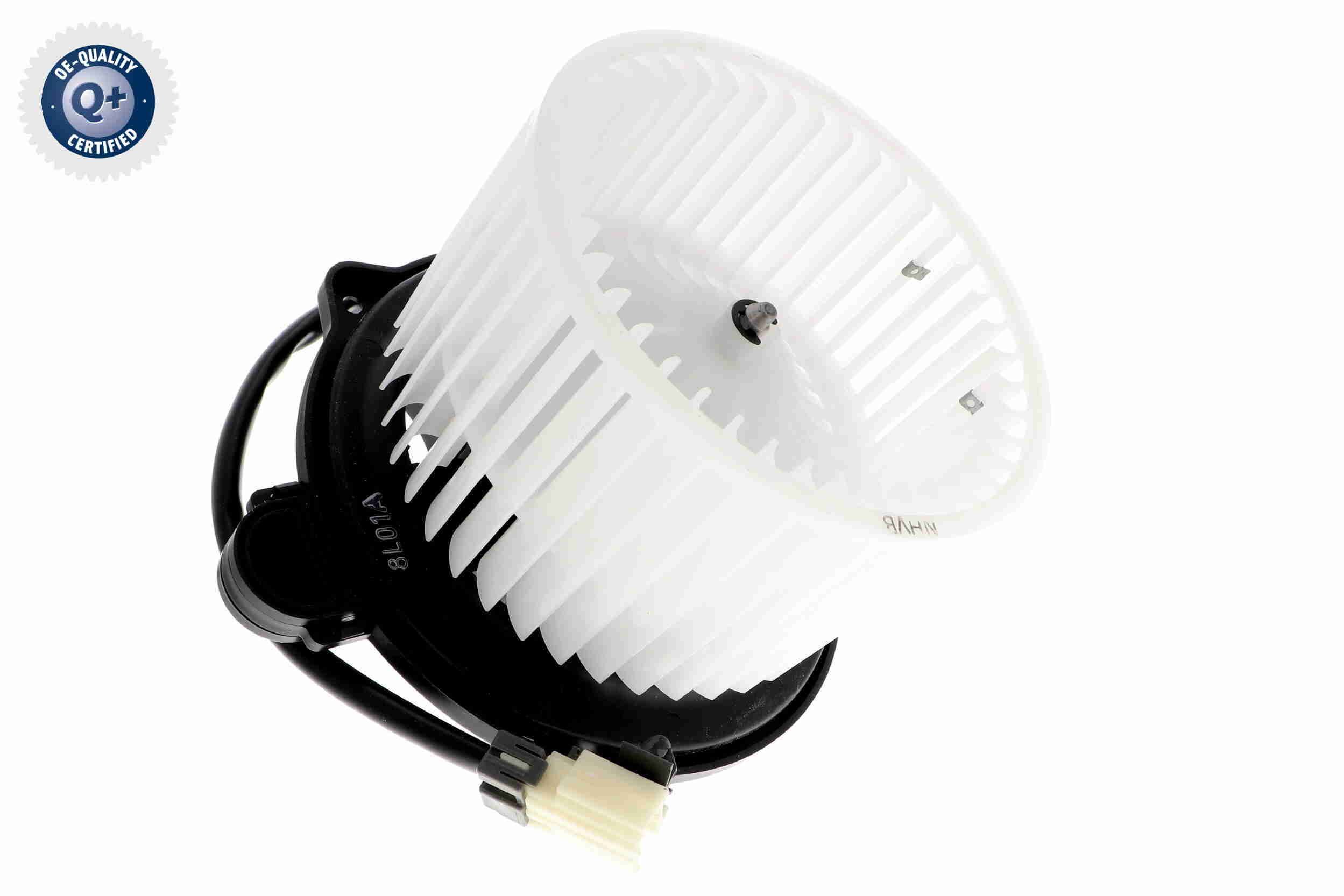 Vidaus pūtiklis ACKOJA A53-03-0007