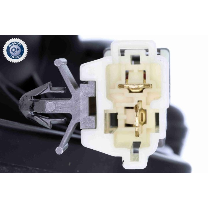 Vidaus pūtiklis ACKOJA A53-03-0007