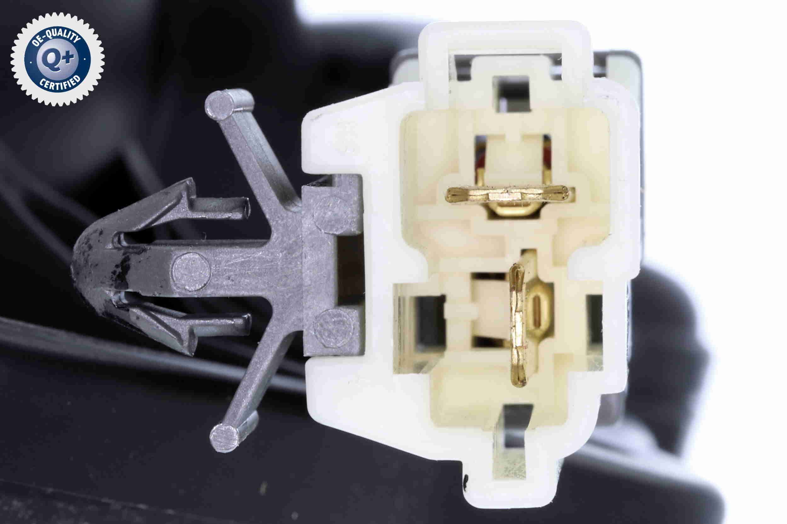 Vidaus pūtiklis ACKOJA A53-03-0007