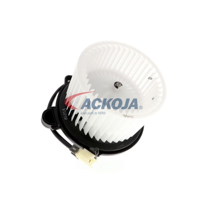Vidaus pūtiklis ACKOJA A53-03-0007