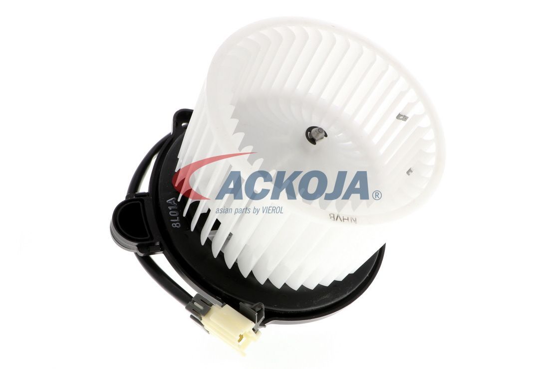 Vidaus pūtiklis ACKOJA A53-03-0007