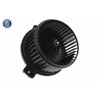 Vidaus pūtiklis ACKOJA A53-03-0010