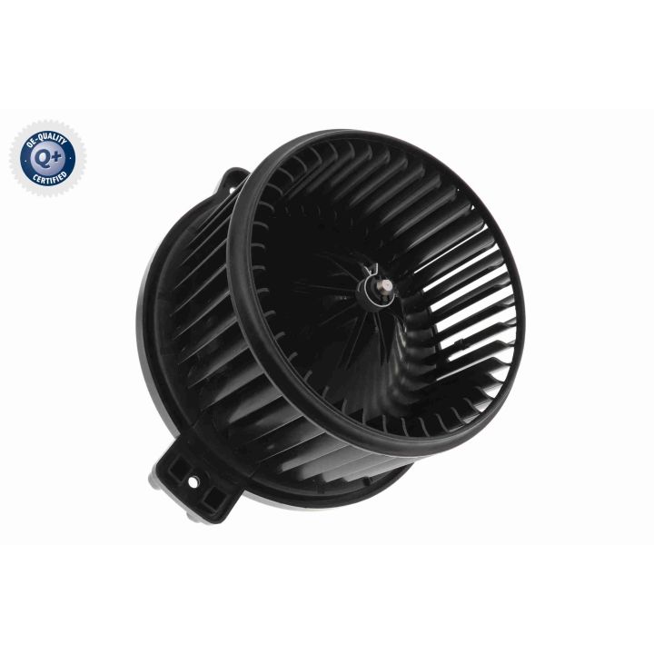 Vidaus pūtiklis ACKOJA A53-03-0010