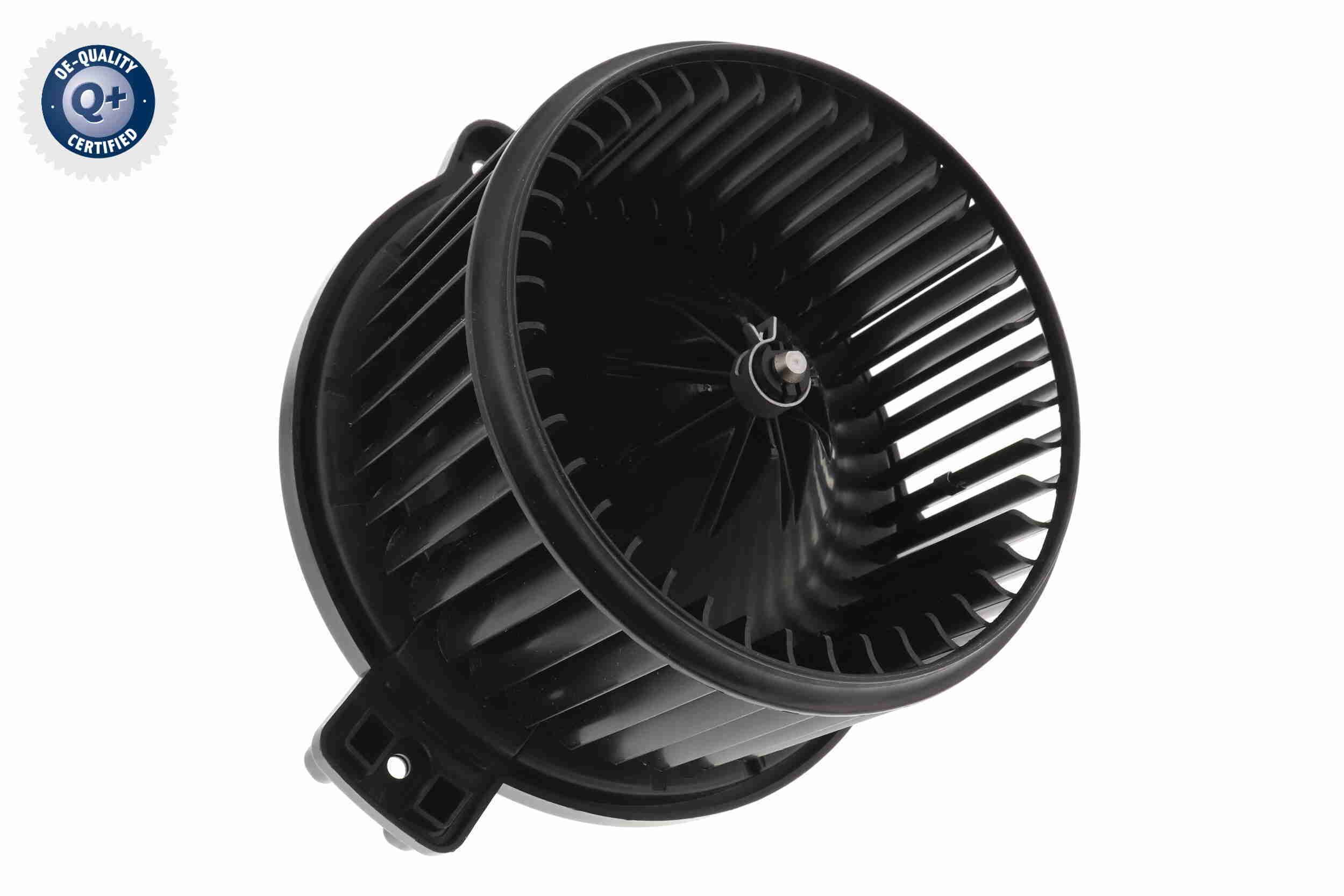 Vidaus pūtiklis ACKOJA A53-03-0010