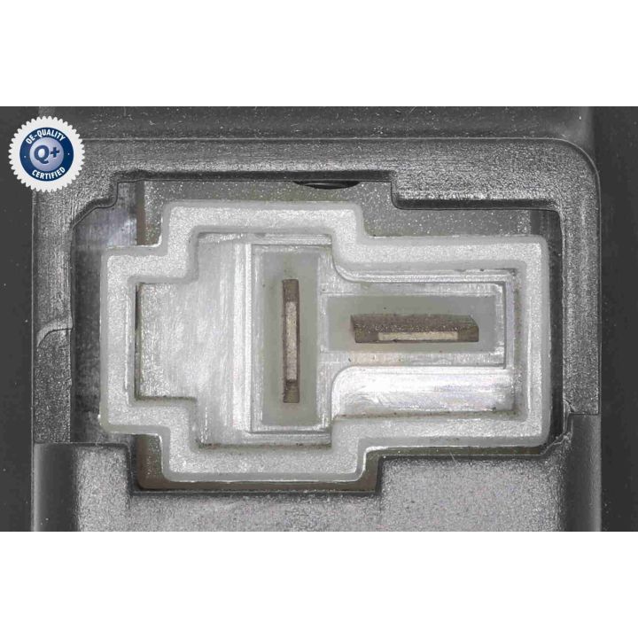 Vidaus pūtiklis ACKOJA A53-03-0010