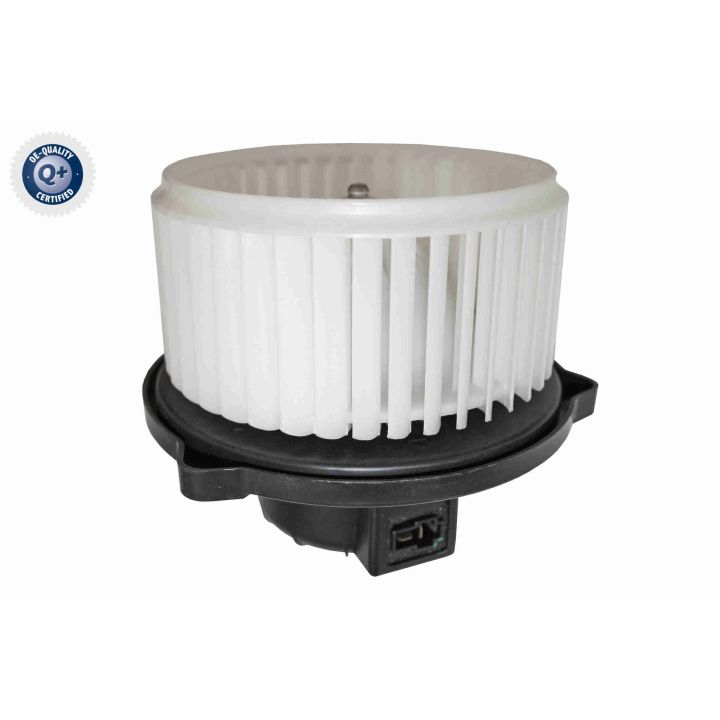 Vidaus pūtiklis ACKOJA A53-03-0013