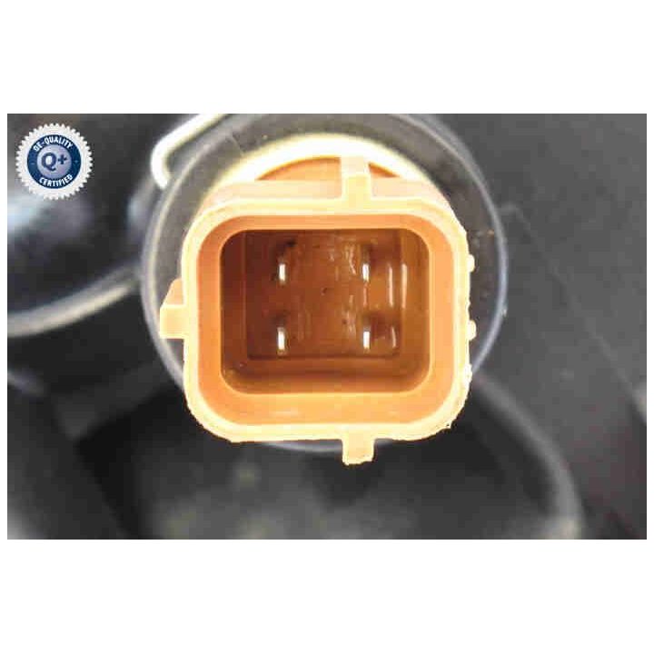 Aušinimo skysčio jungė ACKOJA A52-0753