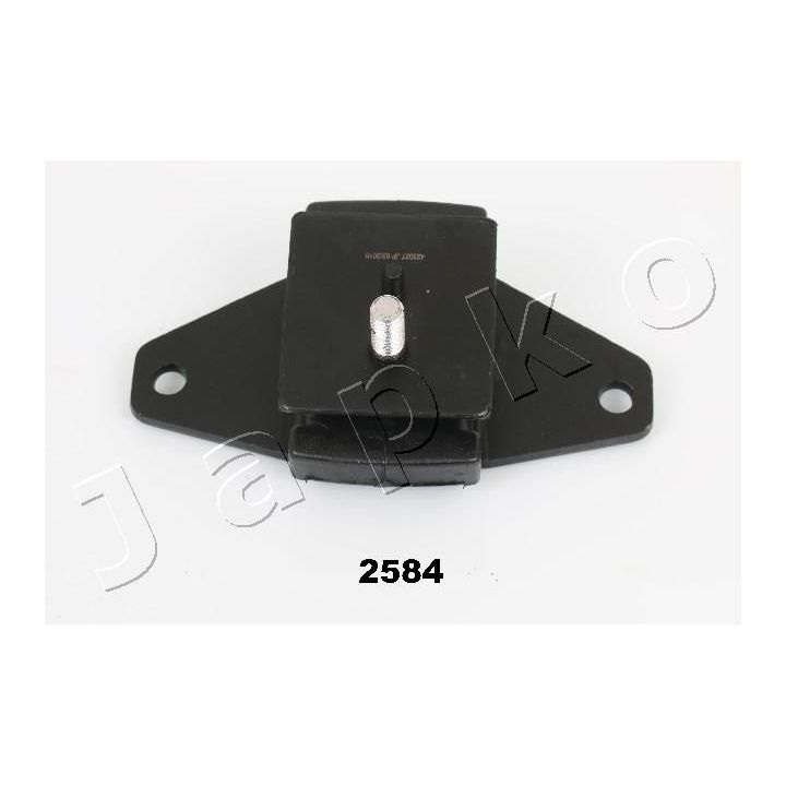 Variklio montavimas JAPKO GOJ2584