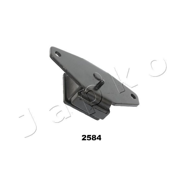 Variklio montavimas JAPKO GOJ2584