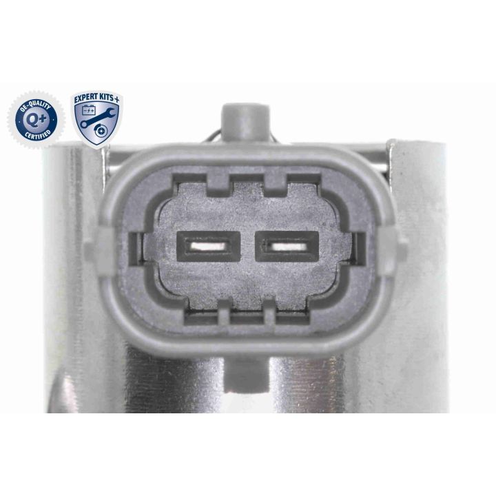 Aukšto slėgio siurblys ACKOJA A52-25-0005-1