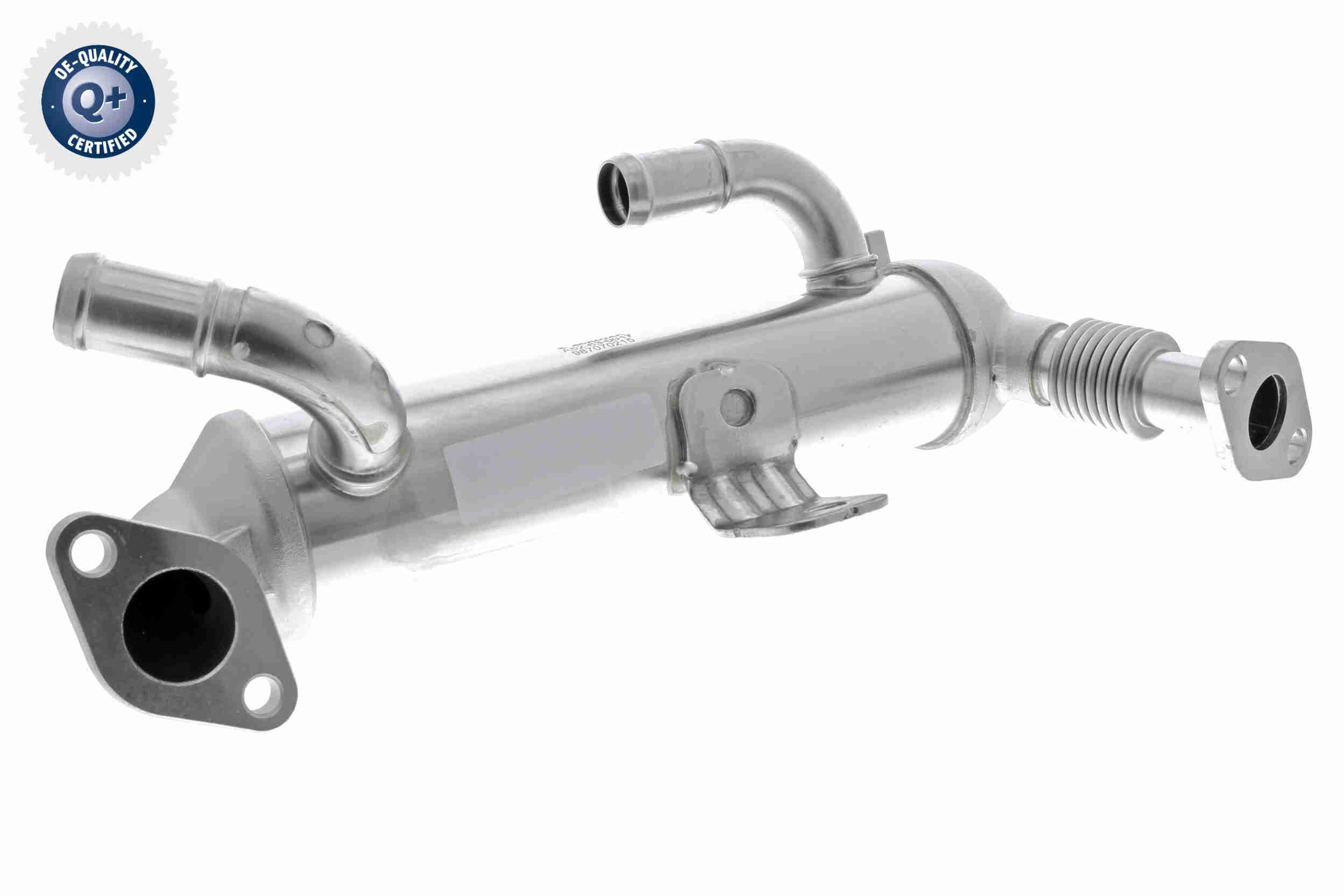 Aušintuvas, išmetamųjų dujų recirkuliacija ACKOJA A52-63-0017