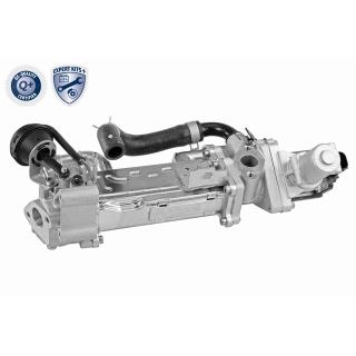 ERG modulis ACKOJA A52-63-0019