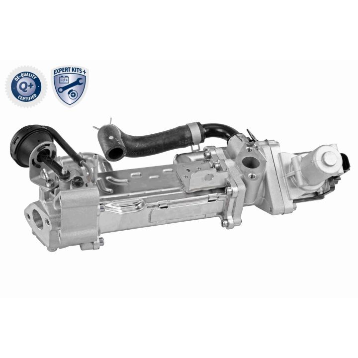 ERG modulis ACKOJA A52-63-0019