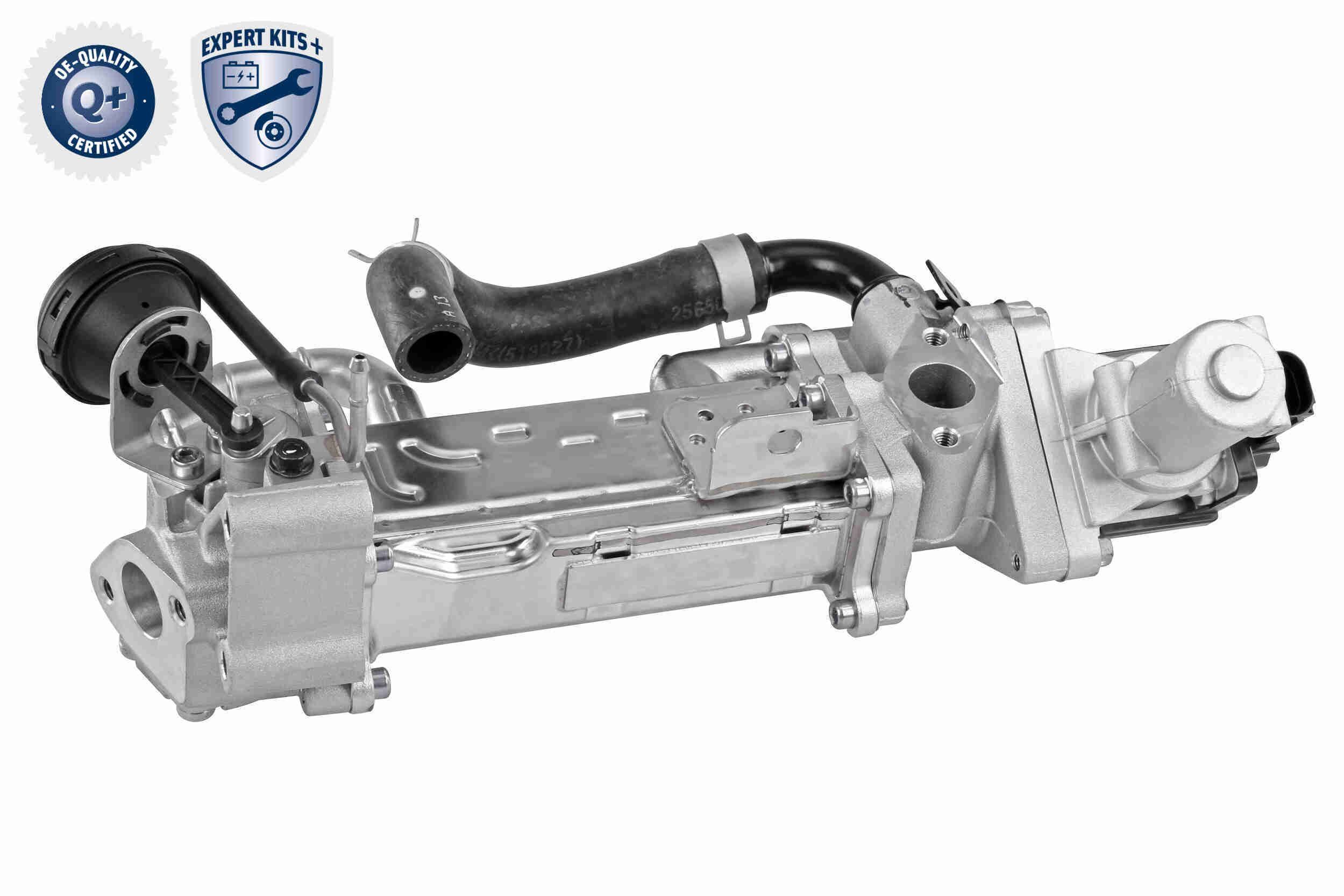 ERG modulis ACKOJA A52-63-0019