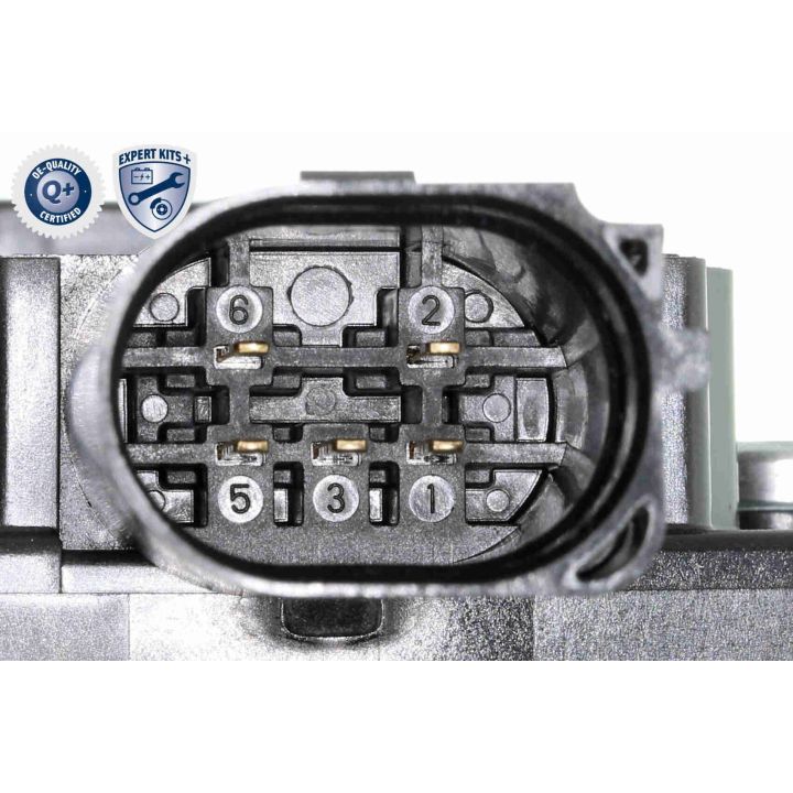 ERG modulis ACKOJA A52-63-0019