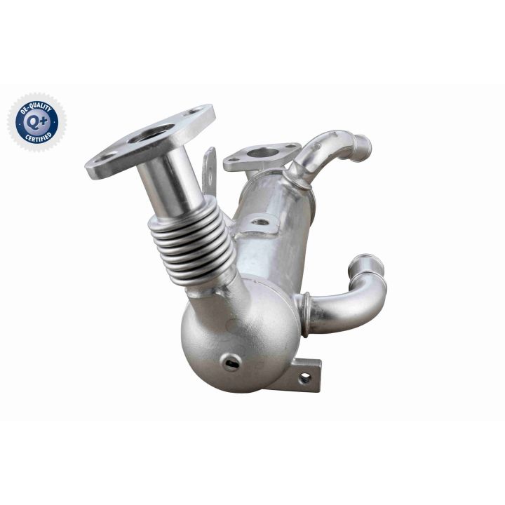 Aušintuvas, išmetamųjų dujų recirkuliacija ACKOJA A52-63-0034