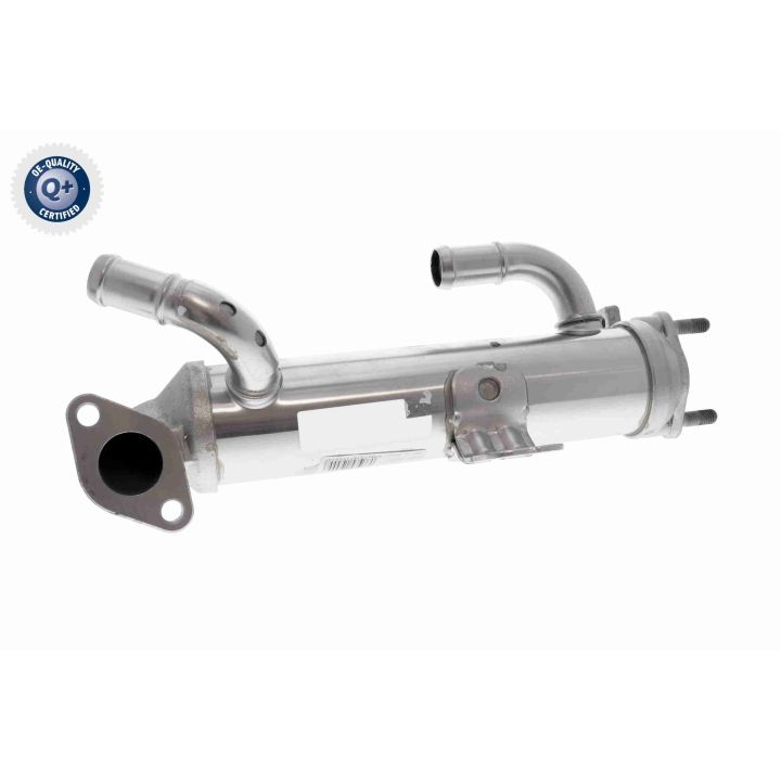 Aušintuvas, išmetamųjų dujų recirkuliacija ACKOJA A52-63-0036