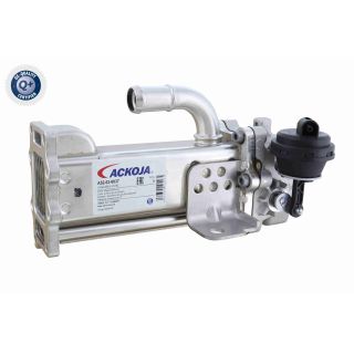 Aušintuvas, išmetamųjų dujų recirkuliacija ACKOJA A52-63-0037