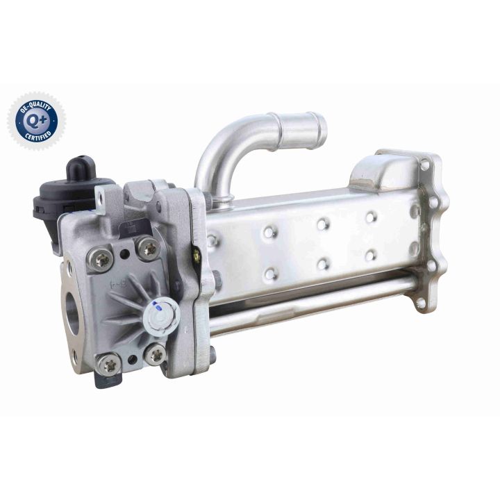 Aušintuvas, išmetamųjų dujų recirkuliacija ACKOJA A52-63-0037