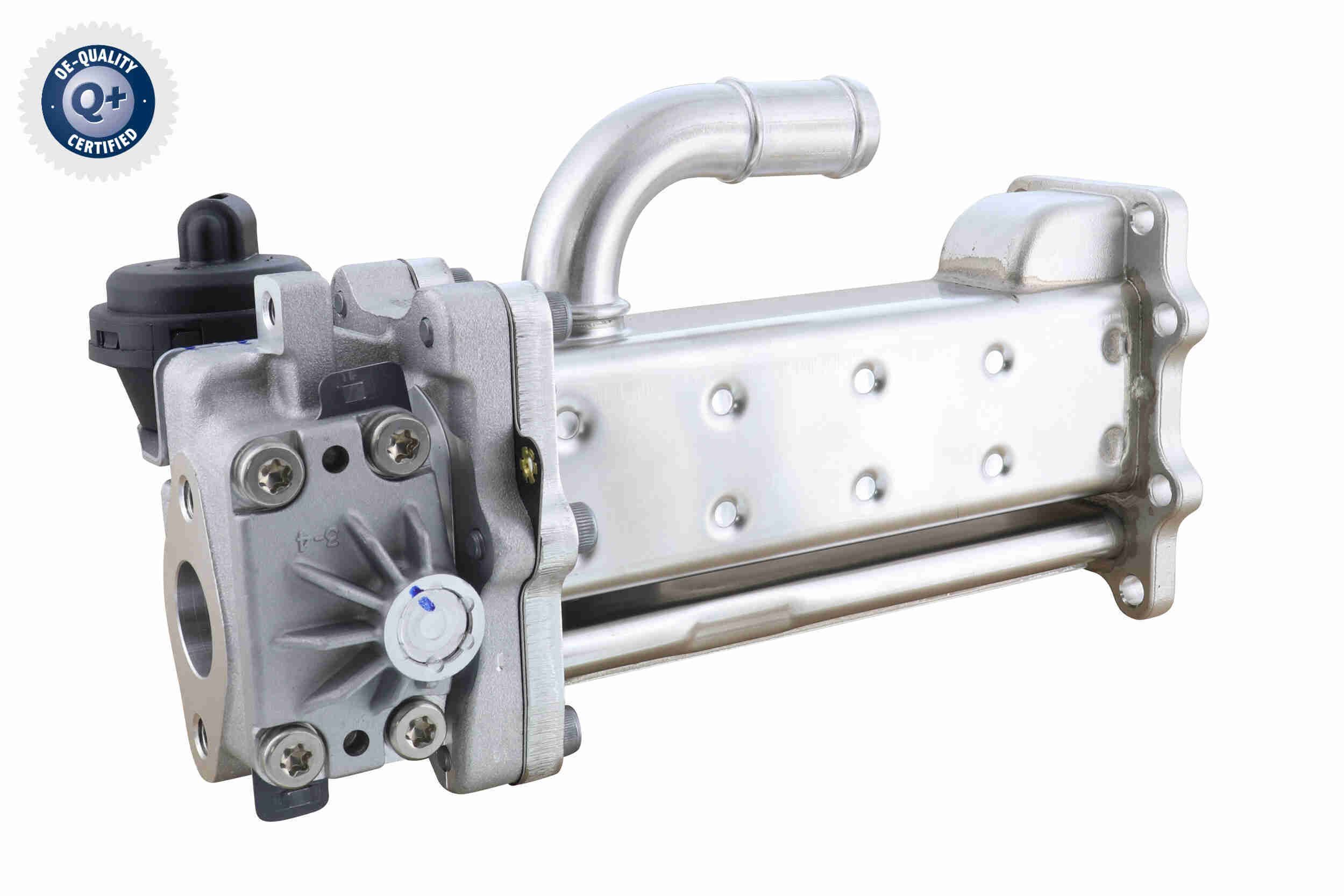 Aušintuvas, išmetamųjų dujų recirkuliacija ACKOJA A52-63-0037