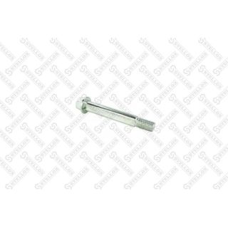 Išvirtimo reguliavimo varžtas STELLOX 79-01105-SX