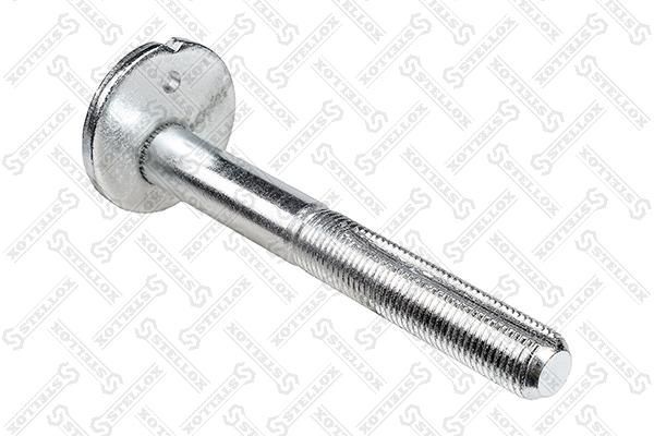 Išvirtimo reguliavimo varžtas STELLOX 79-01123-SX