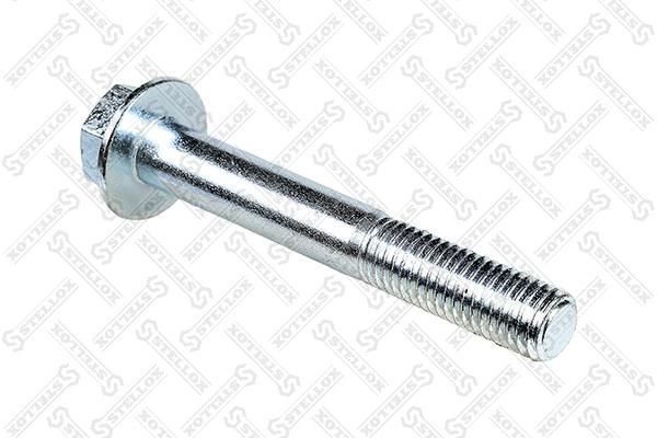 Valdymo svirties varžtas STELLOX 79-09002-SX