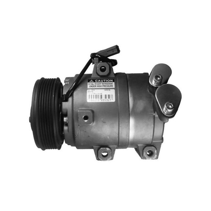 Kompresorius, oro kondicionierius Airstal 10-1010