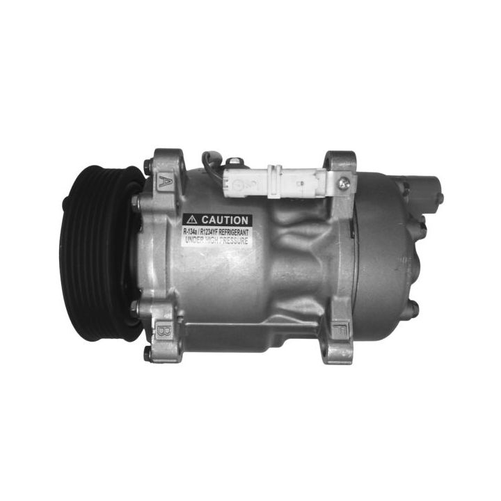 Kompresorius, oro kondicionierius Airstal 10-1110