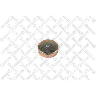 Užšalęs kaištis STELLOX 75-52751-SX