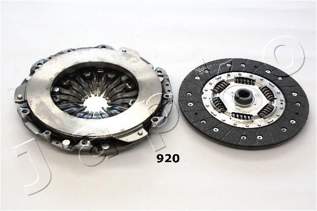 Diskatorius JAPKO 70920