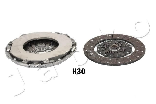 Diskatorius JAPKO 70H30