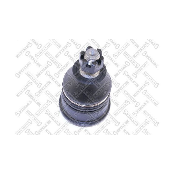 Šarnyras / girgždukas STELLOX 52-37003-SX