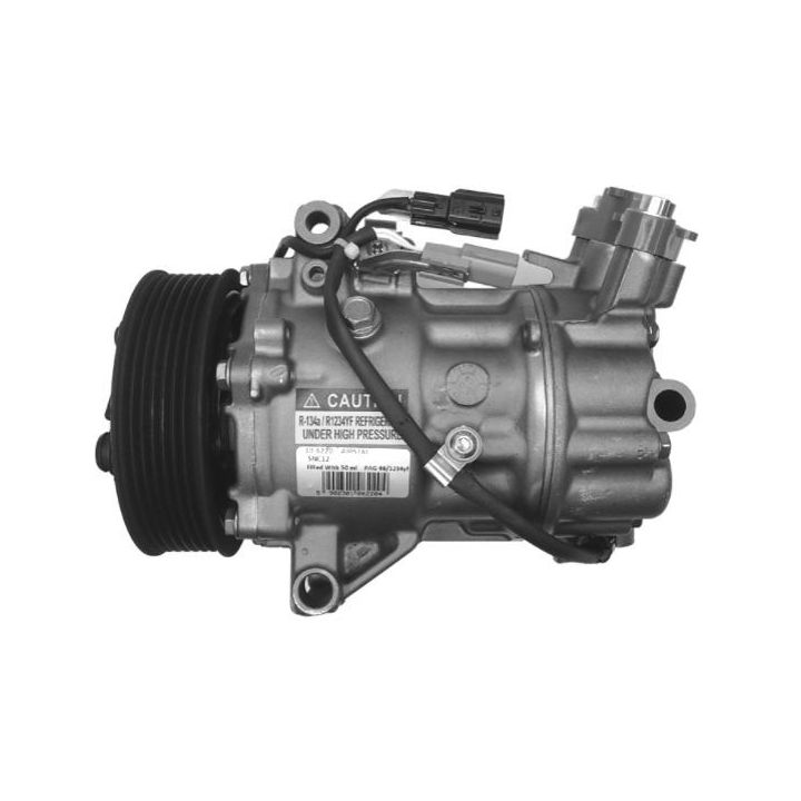 Kompresorius, oro kondicionierius Airstal 10-6220