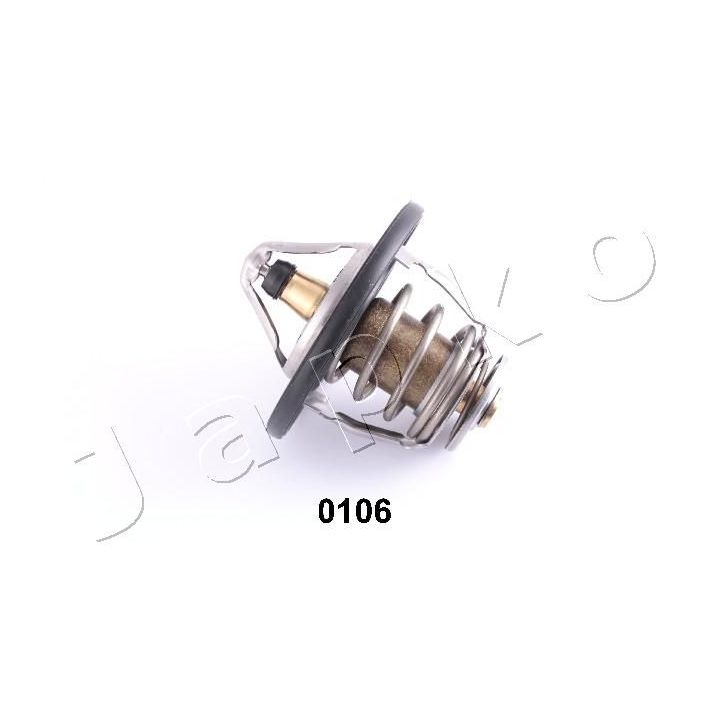 Termostatas, aušinimo skystis JAPKO 22106