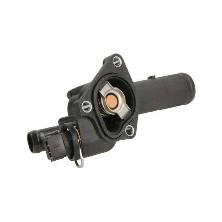 Termostatas, aušinimo skystis THERMOTEC D21001TT