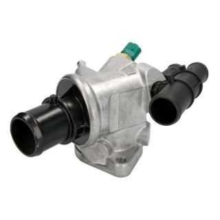 Termostatas, aušinimo skystis THERMOTEC D2D001TT