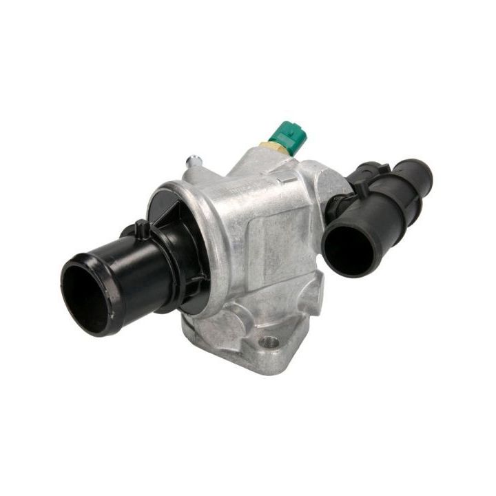 Termostatas, aušinimo skystis THERMOTEC D2D001TT