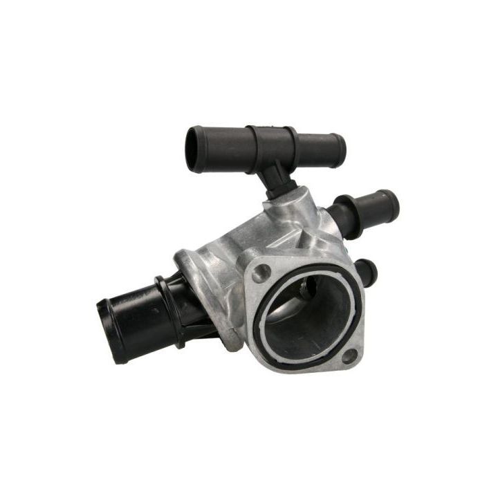 Termostatas, aušinimo skystis THERMOTEC D2D001TT