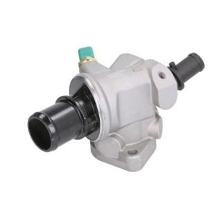 Termostatas, aušinimo skystis THERMOTEC D2F004TT