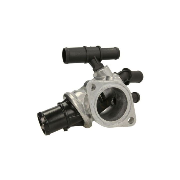 Termostatas, aušinimo skystis THERMOTEC D2F006TT