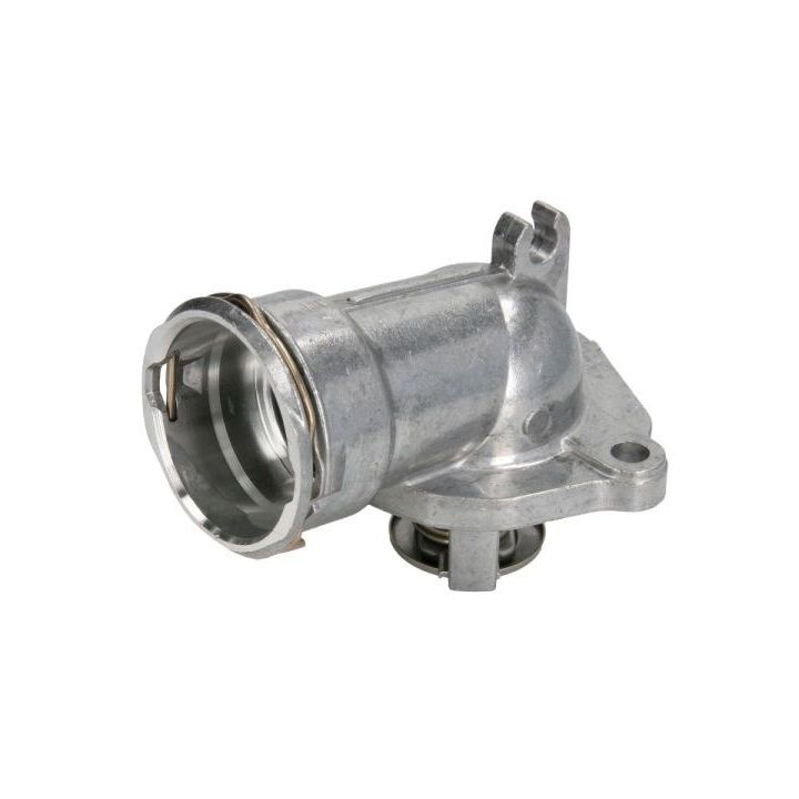 Termostatas, aušinimo skystis THERMOTEC D2M011TT