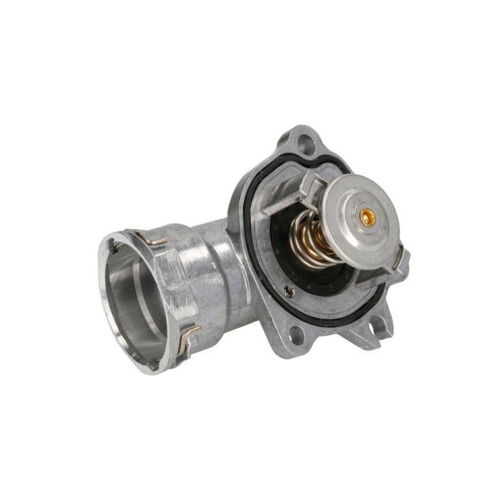 Termostatas, aušinimo skystis THERMOTEC D2M011TT