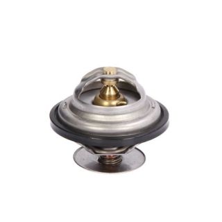 Termostatas, aušinimo skystis THERMOTEC D2MA004TT