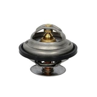 Termostatas, aušinimo skystis THERMOTEC D2ME002TT